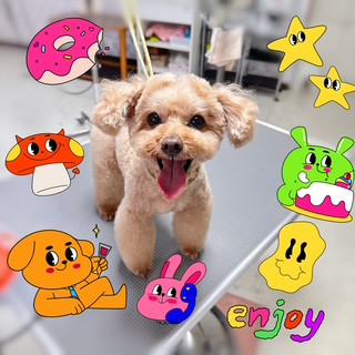 照片 2026-9-11 17 41 49.jpg