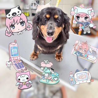 照片 2026-9-11 17 51 20.jpg