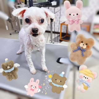 照片 2026-9-11 18 24 42.jpg