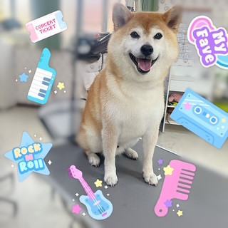 照片 2026-9-11 18 31 30.jpg