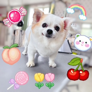 照片 2026-9-12 12 39 16.jpg