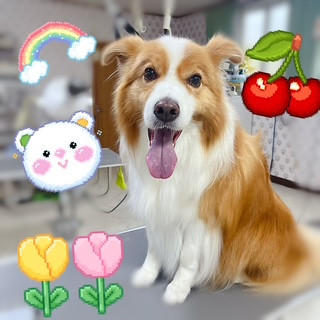 照片 2026-9-12 21 38 23.jpg