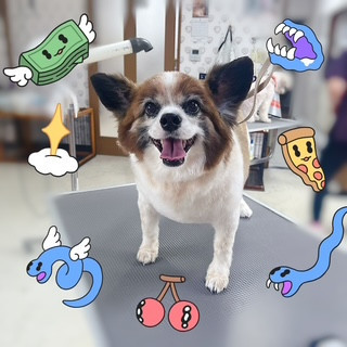 照片 2026-9-16 9 07 40 (8).jpg