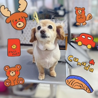 照片 2026-9-16 9 07 40.jpg