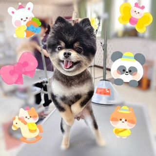 照片 2026-9-18 14 58 29.jpg