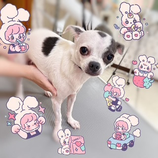 照片 2026-9-21 16 02 23.jpg