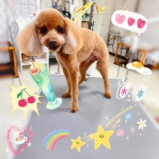 照片 2026-9-21 16 07 23.jpg