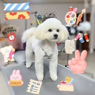 照片 2026-9-21 16 15 39.jpg