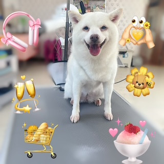 照片 2026-9-23 13 41 48 (3).jpg