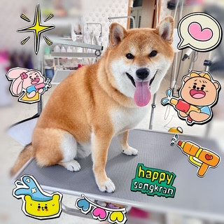 照片 2026-9-25 16 41 22.jpg