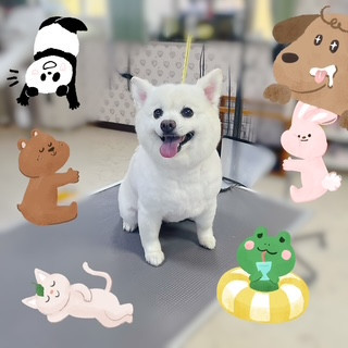 照片 2026-9-25 17 02 51 (2).jpg
