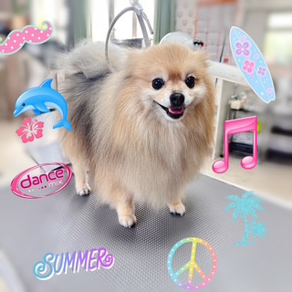 照片 2026-9-28 22 42 35.jpg