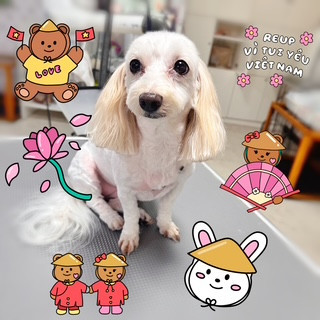 照片 2026-9-28 22 51 52.jpg