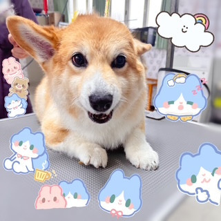 照片 2026-9-29 20 46 32.jpg