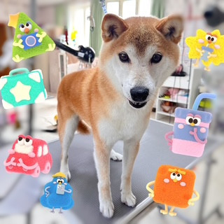 照片 2026-10-2 10 34 49.jpg