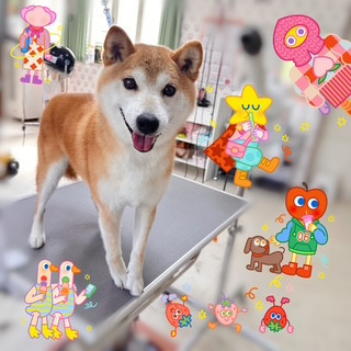 照片 2026-10-2 10 36 47.jpg