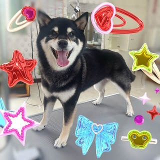 照片 2026-10-2 11 46 17.jpg