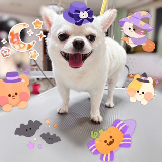 照片 2026-10-3 20 10 52.jpg
