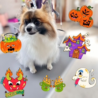 照片 2026-10-3 11 33 45.jpg