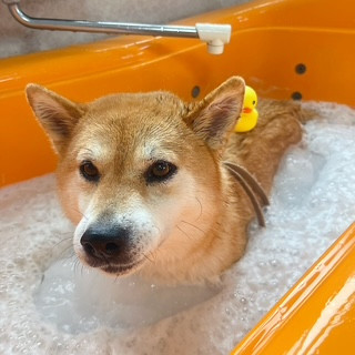 照片 2026-10-5 22 14 38 (8).jpg