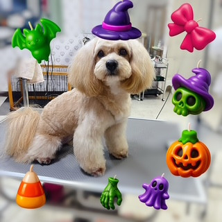 照片 2026-10-7 21 16 01.jpg