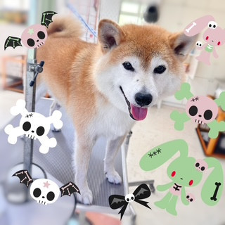 照片 2026-10-9 9 58 57.jpg