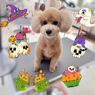 照片 2026-10-9 10 02 25.jpg