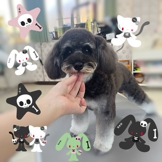 照片 2026-10-10 8 12 50.jpg