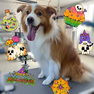 照片 2026-10-10 21 50 42 (6) (1).jpg