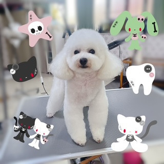 照片 2026-10-14 21 29 50 (3).jpg