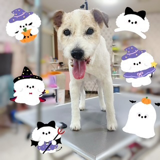照片 2026-10-14 21 29 50.jpg