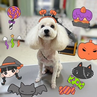 照片 2026-10-16 19 26 48.jpg