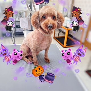 照片 2026-10-18 22 28 47.jpg