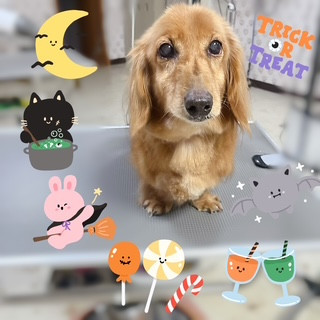 照片 2026-10-18 22 27 05.jpg