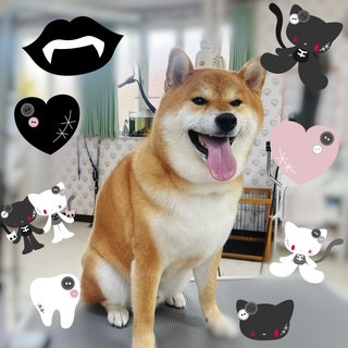 照片 2026-10-21 8 30 39.jpg
