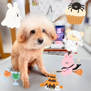照片 2026-10-21 15 38 41.jpg