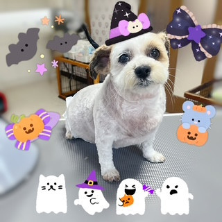 照片 2026-10-21 22 11 59.jpg