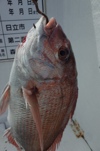 R0004368.JPG
