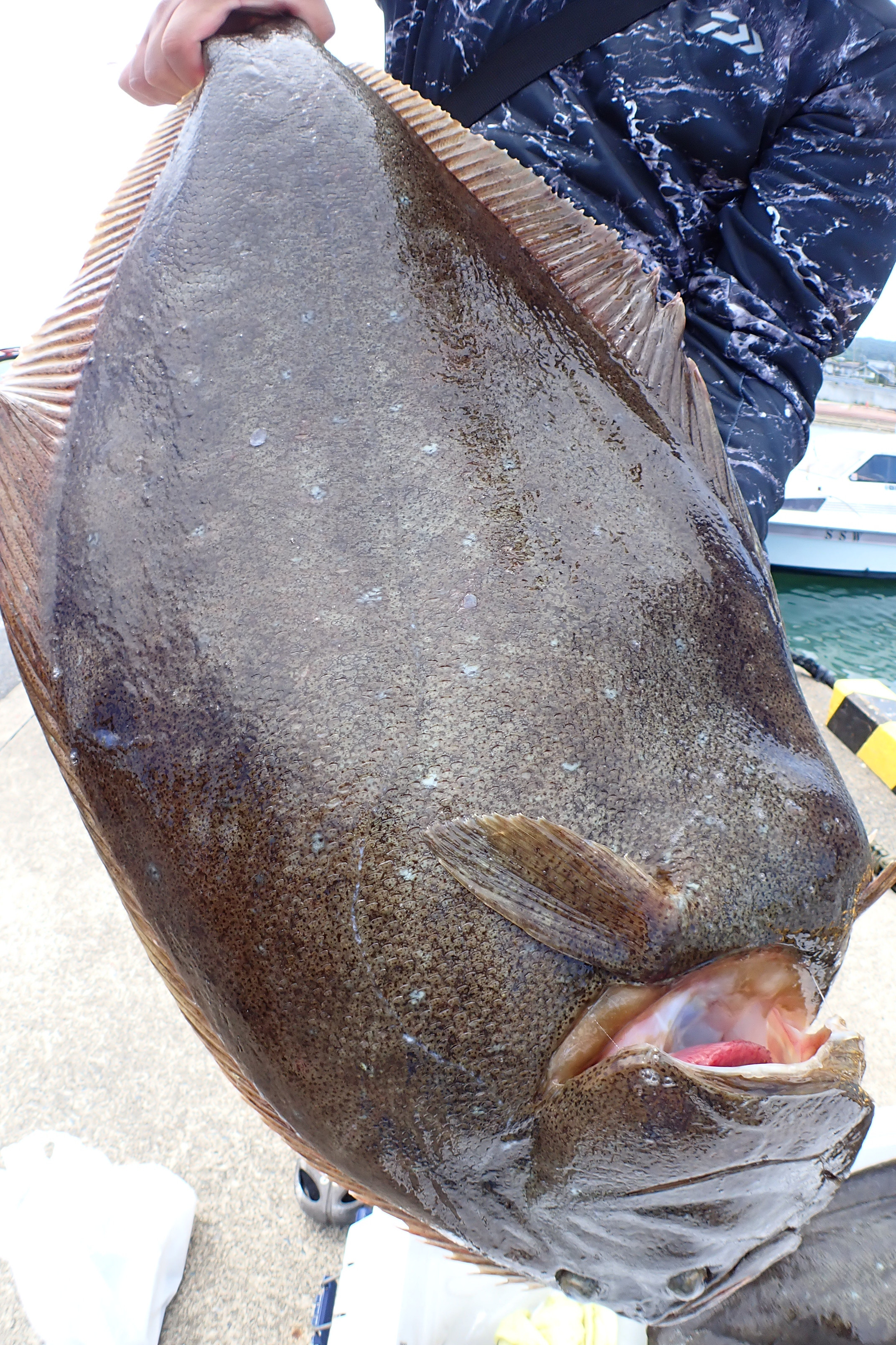 祝　大物賞！！8.4キロ！！