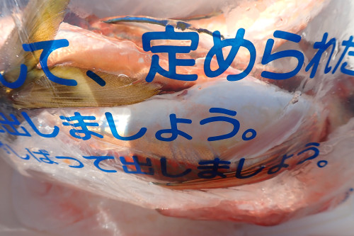 P8241379.JPG