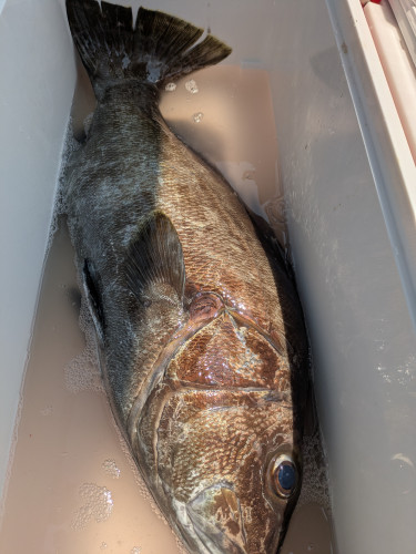 PXL_20260722_034044518.jpg