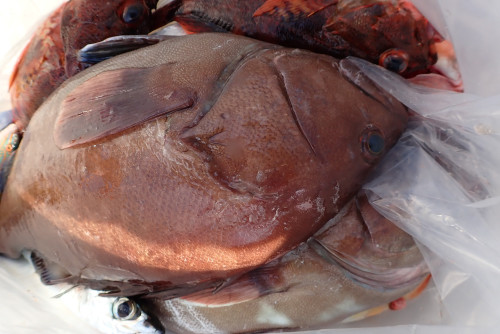 PA161833.JPG