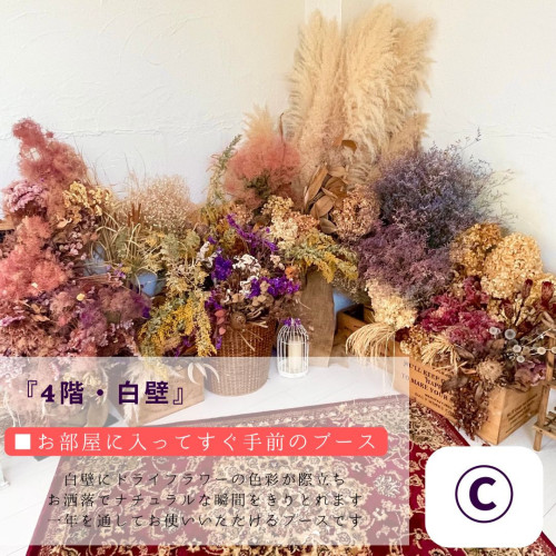 『3階・グリーン壁』 (5).jpg