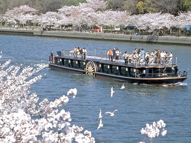 4月5日(日) 「船上お花見ワインクルージング」＠豪華クルーズ船ひまわりやります！