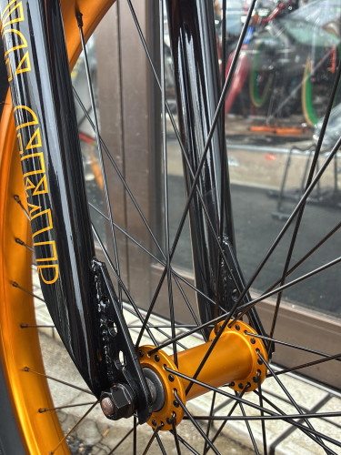 728369702_18601807009063690_6783598313963330145_n.jpg