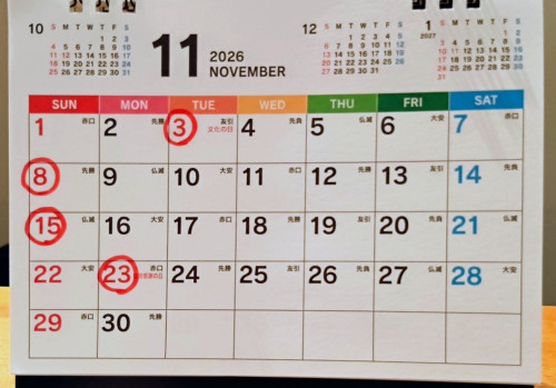 【 11 月の営業予定】 ご予約お待ちしています🤗🍷(不定休です)