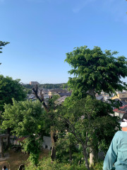 IMG_7030.jpeg