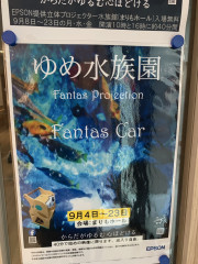 IMG_8750.jpeg