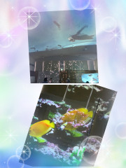 IMG_8756.jpeg