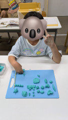 S__46727171.jpg